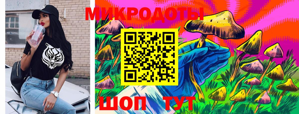 купить   Вход с VPN  Орск  Псилоцибиновые грибы Psilocybine cubensis 