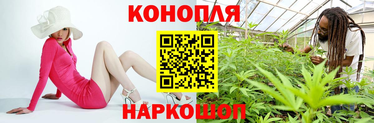 Конопля ГИДРОПОН  Каннабис Amnesia  Орск  Бошки марихуана SATIVA & INDICA  Вход с VPN 